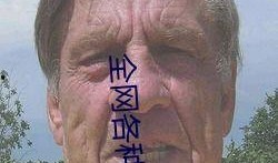 吃瓜网在线观看视频,热门视频在线观看，揭秘幕后故事