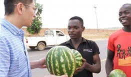 52吃瓜爆料免费吃瓜视频 热点黑料在线免费观看,免费畅享热门黑料，一键解锁在线观看盛宴